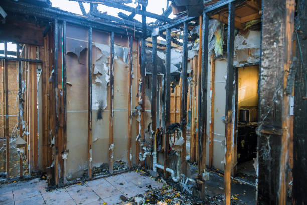 Professional Soot Cleanup technician working in Morton, WA